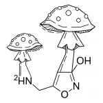 Amanita Muscaria
