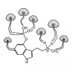 Pholiotina Cyanopus