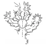 Echinopsis Pachanoi
