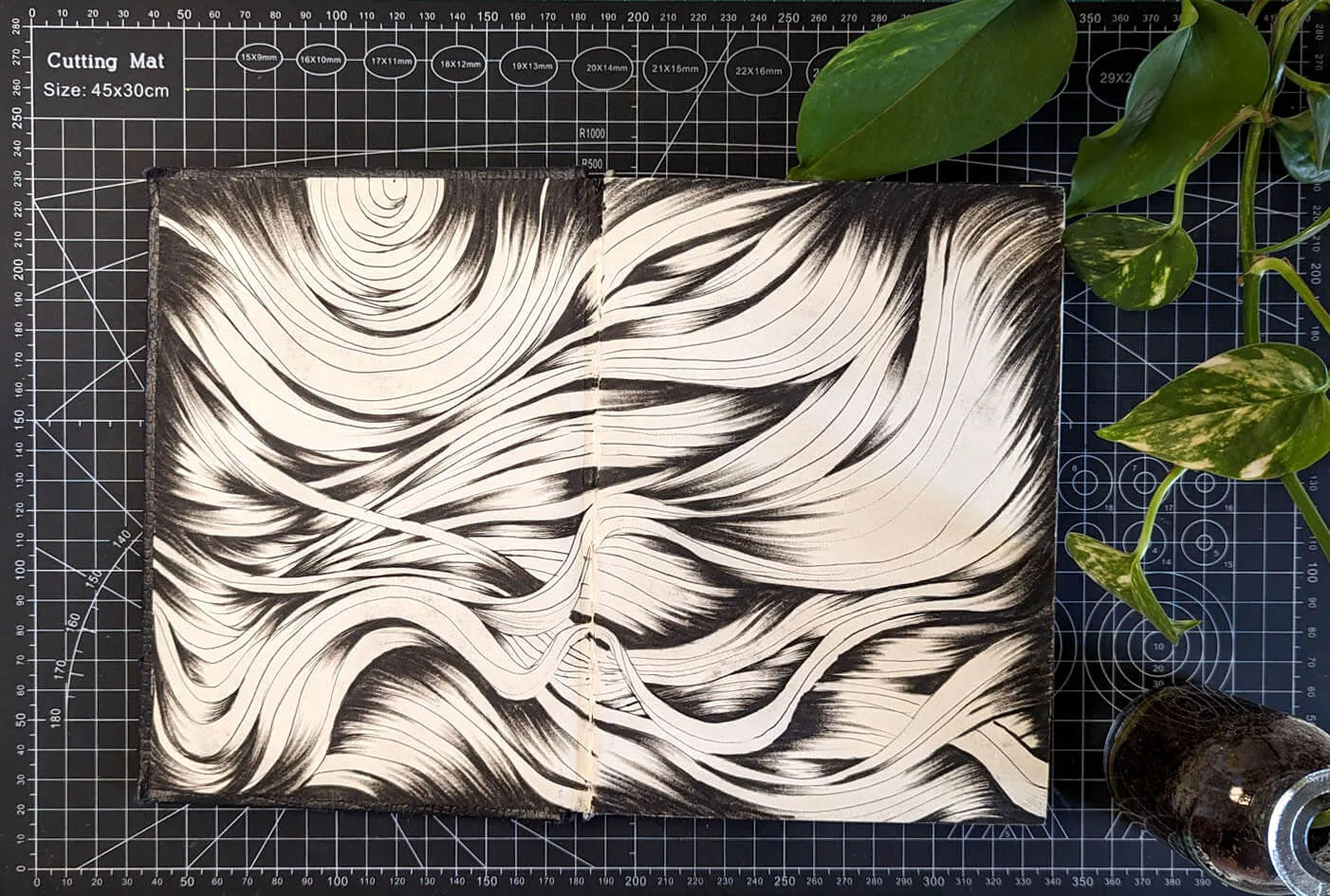 PXL_20240521_082956819