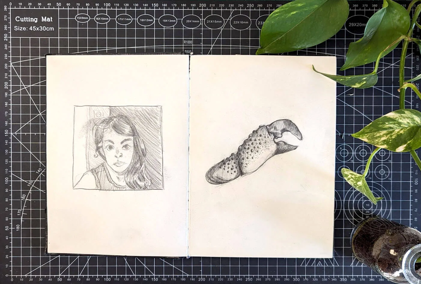 PXL_20240521_083456145