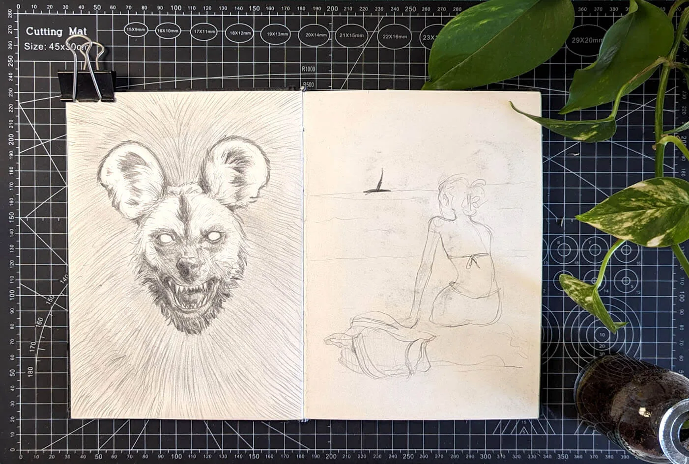 PXL_20240521_083653265