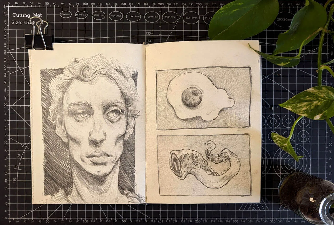 PXL_20240521_083705429