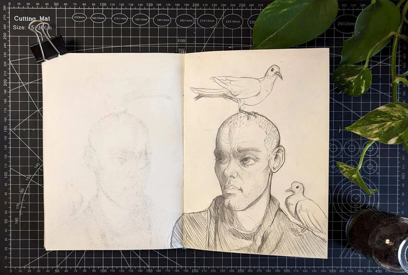 PXL_20240521_084129324