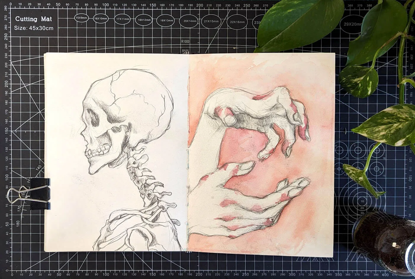 PXL_20240521_084202767