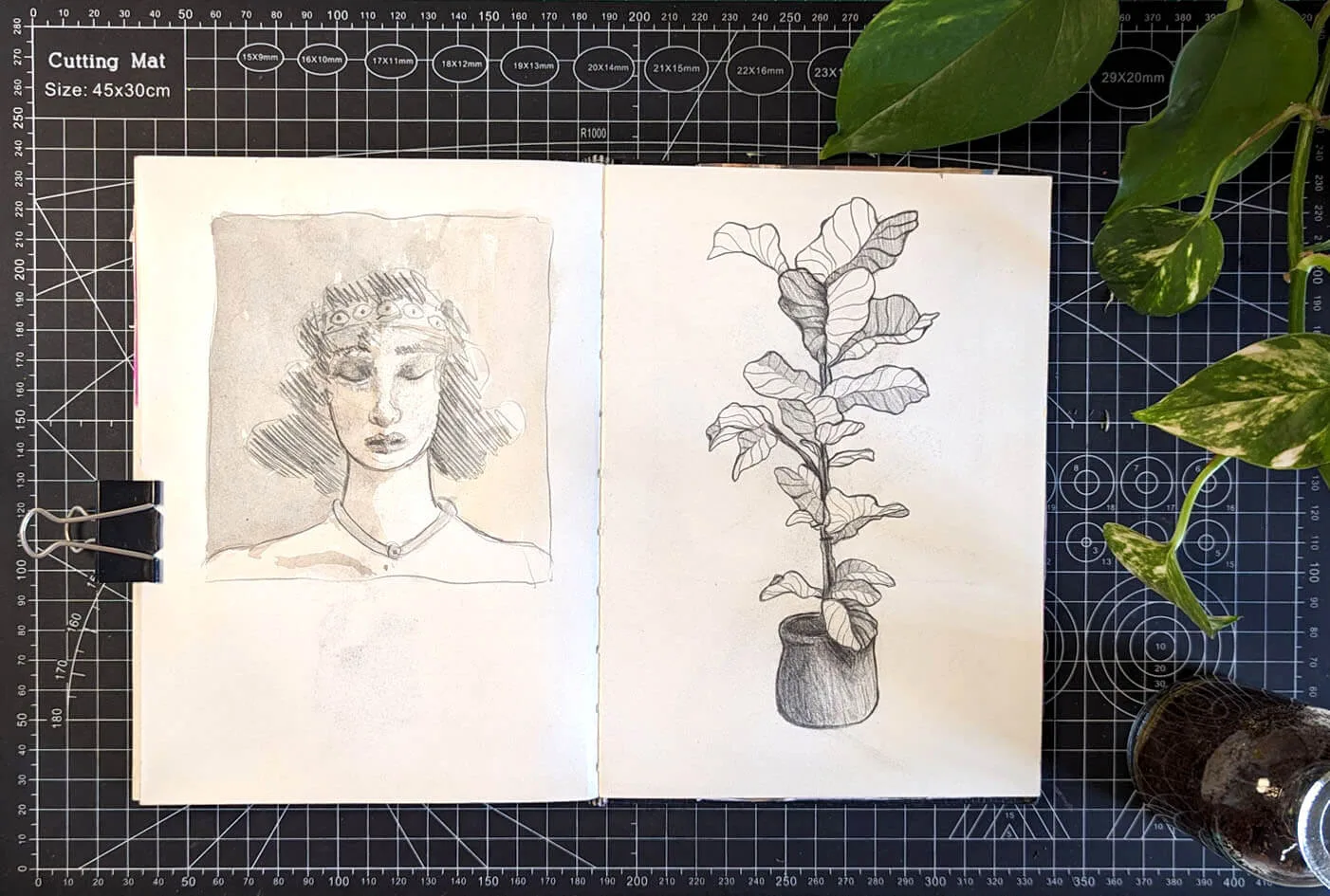 PXL_20240521_084323628