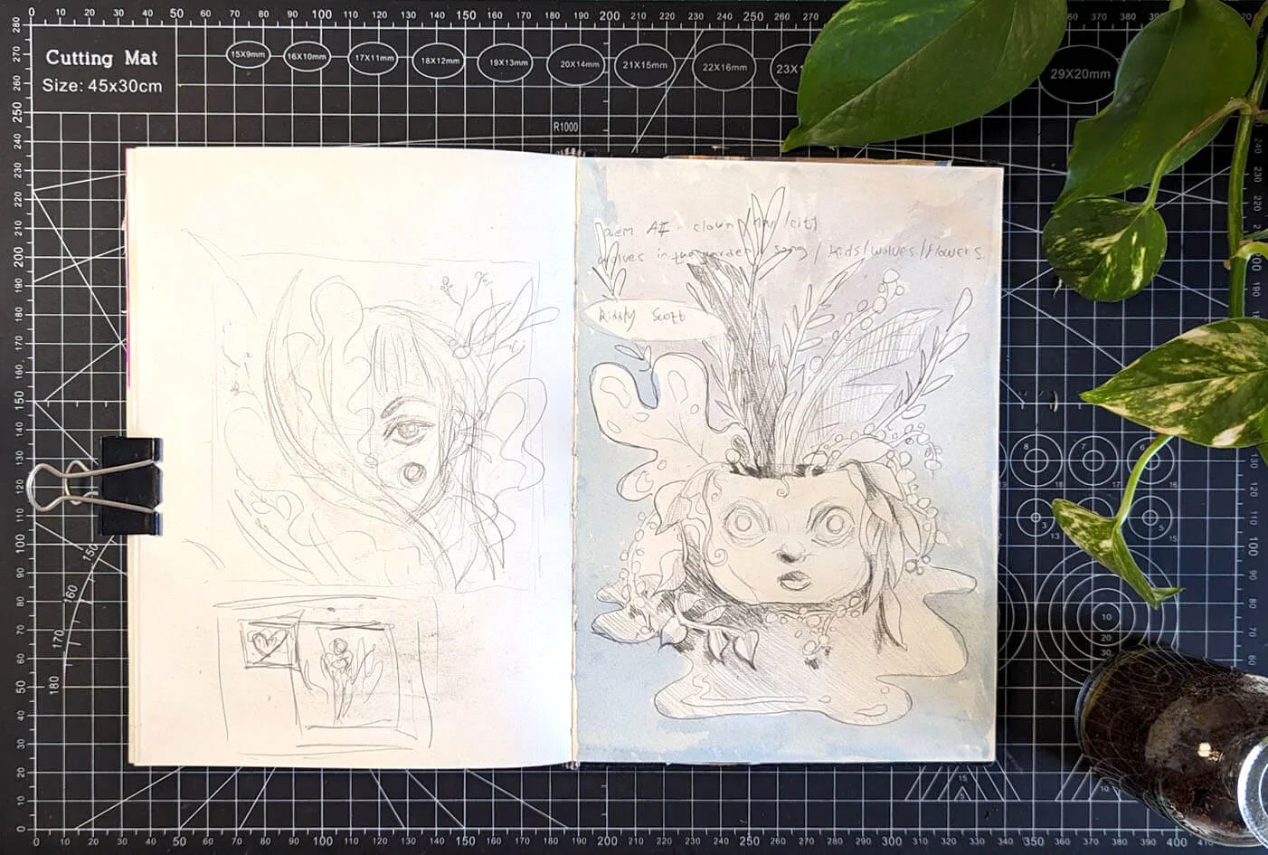 PXL_20240521_084333893