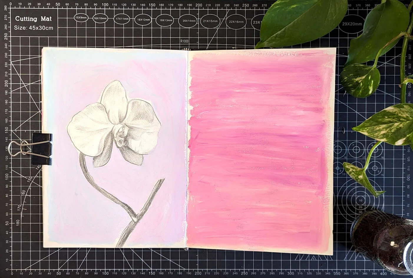 PXL_20240521_084416214