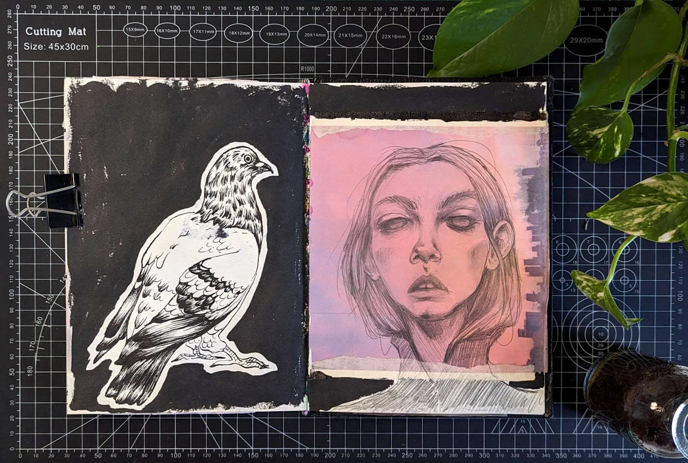 PXL_20240521_084519458