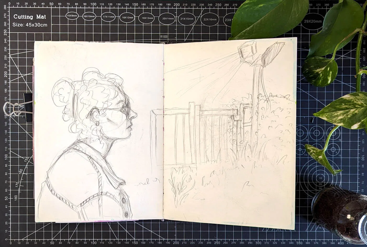 PXL_20240521_084535295