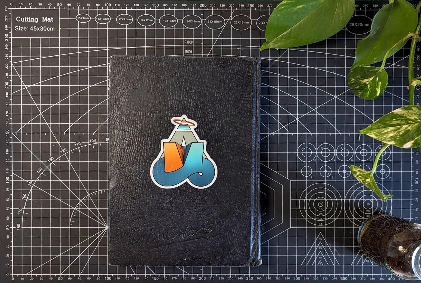 PXL_20240521_084602345